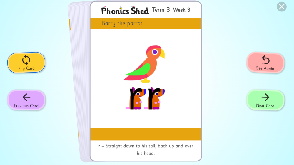 EdShed Barry the parrot 'rr' flashcard