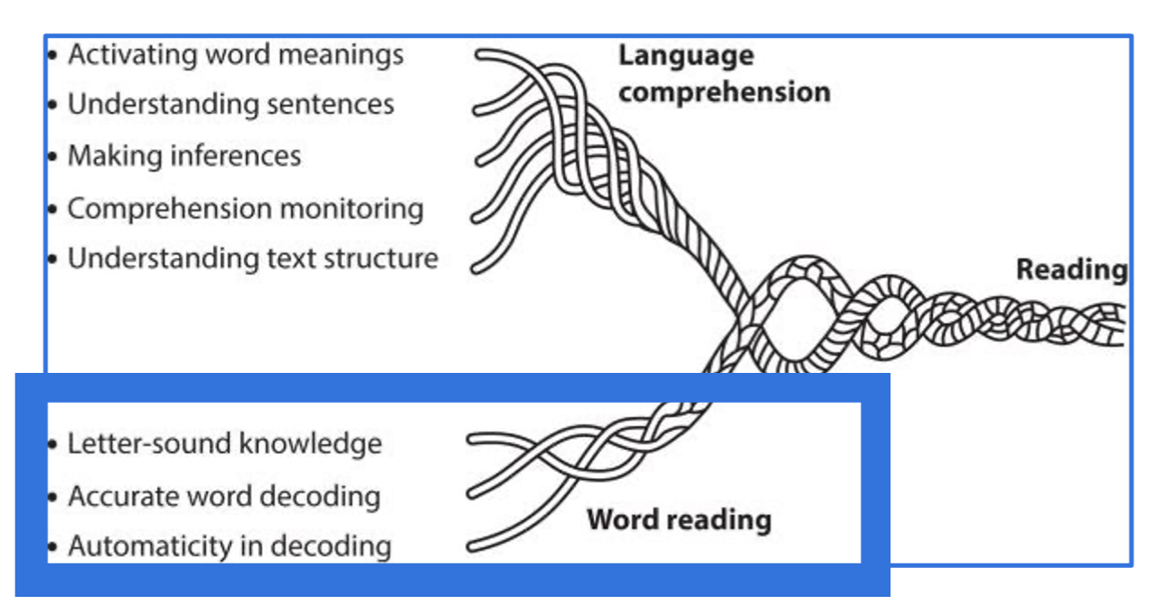 Scarborough's Reading Rope diagram for language comprehension and word reading