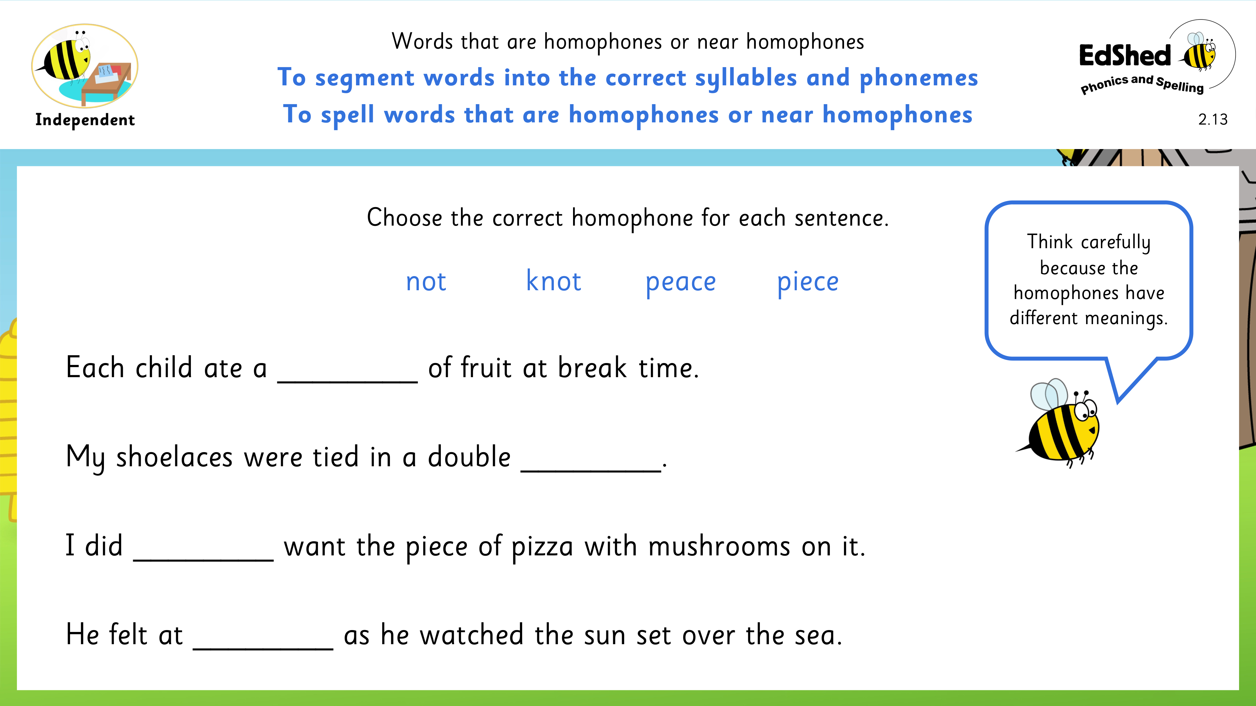 Lesson presentation slide for using the correct homophone in sentences page 2