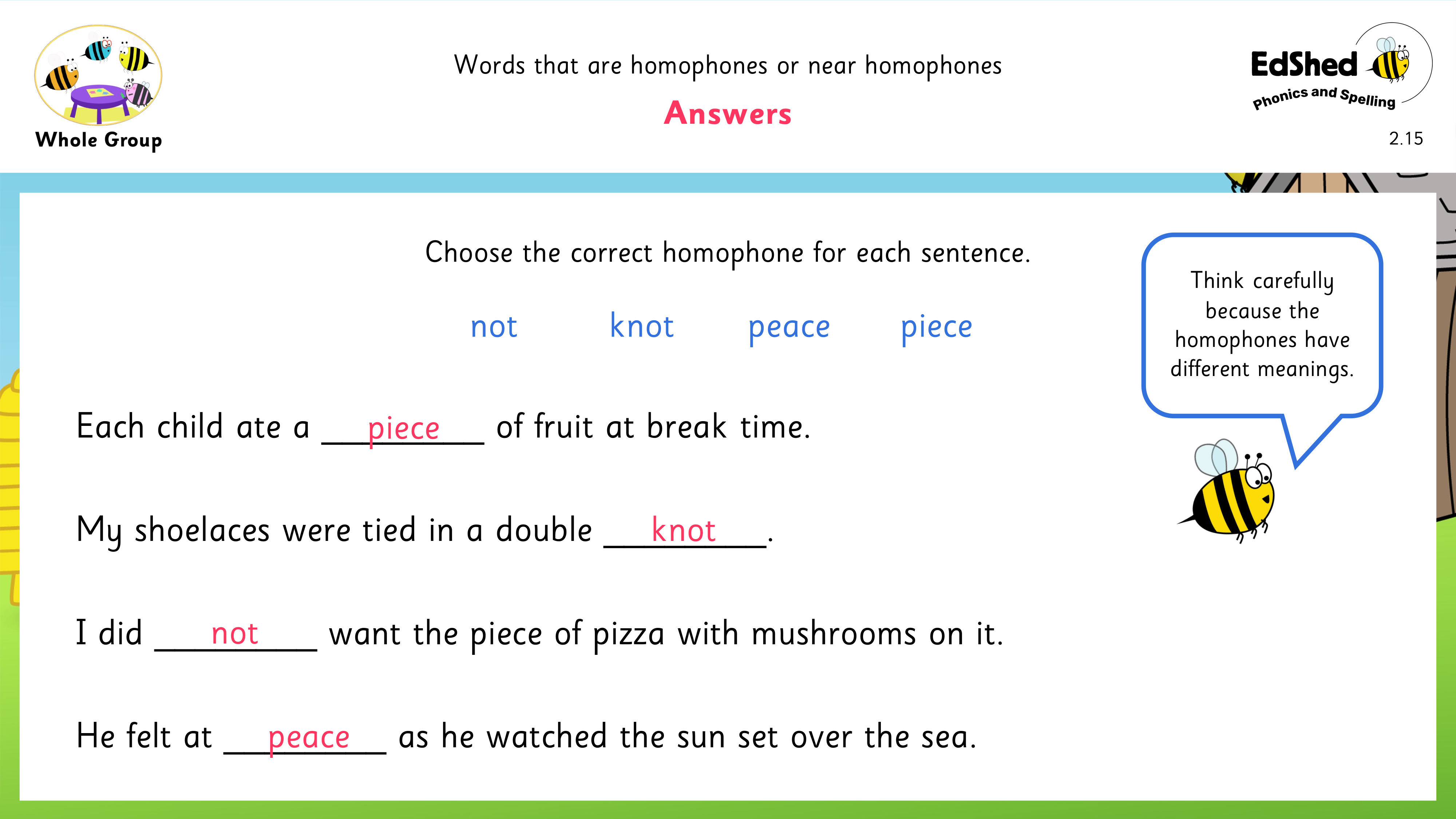 Lesson presentation slide for answers of using the correct homophone in sentences page 2