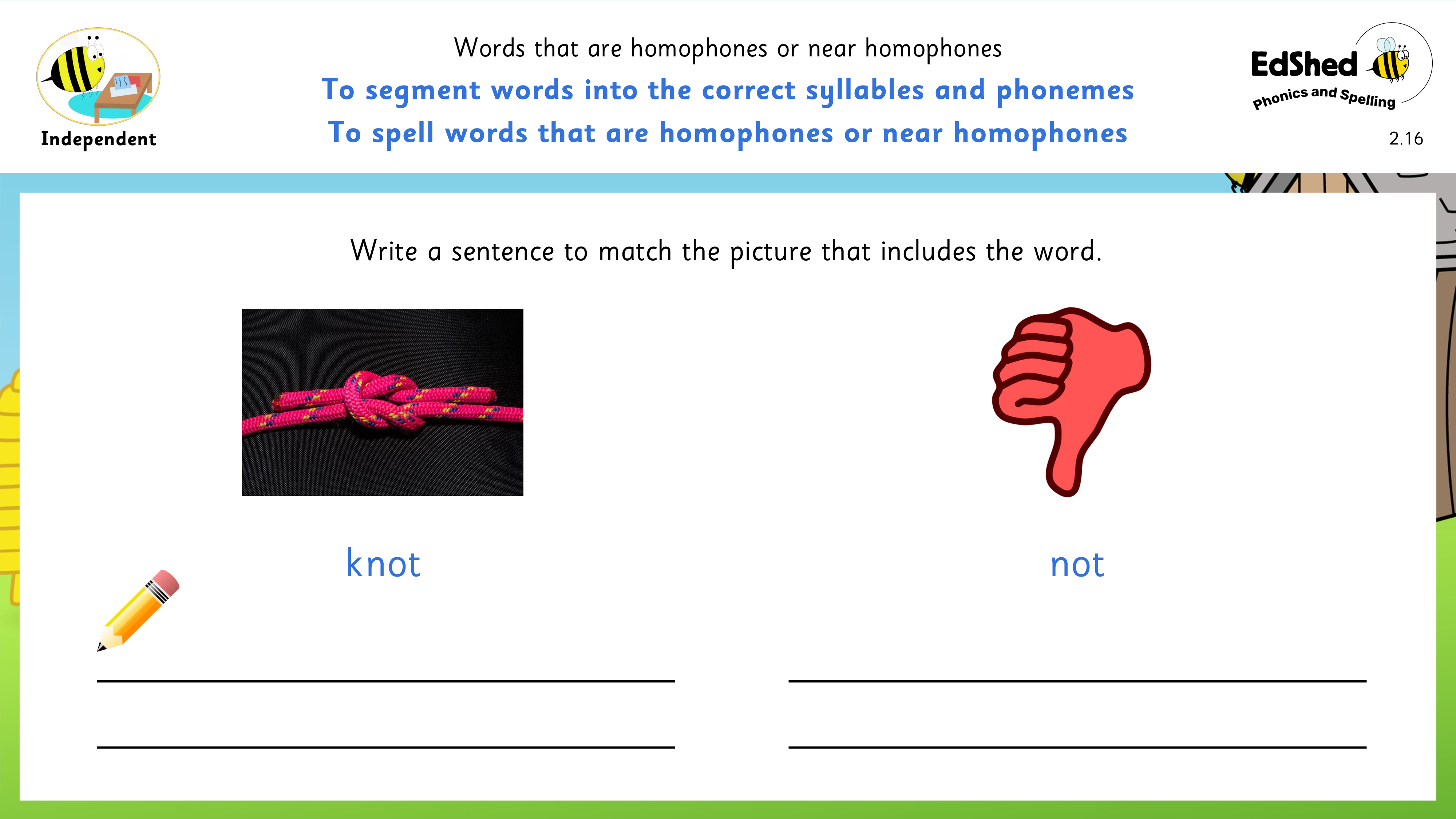 Lesson presentation slide for sentence writing with homophones knot and not