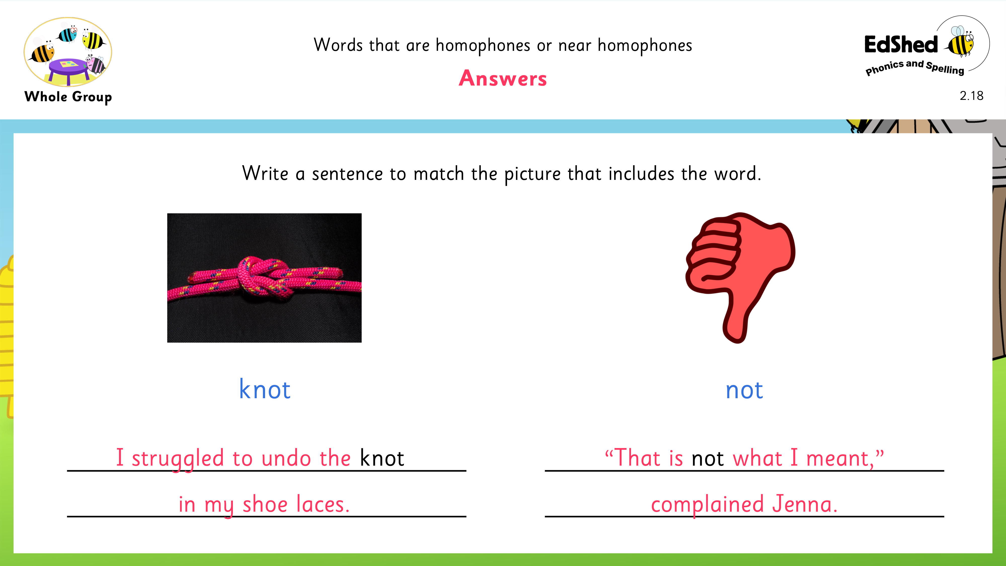 Lesson presentation slide for answers of sentence writing with homophones knot and not