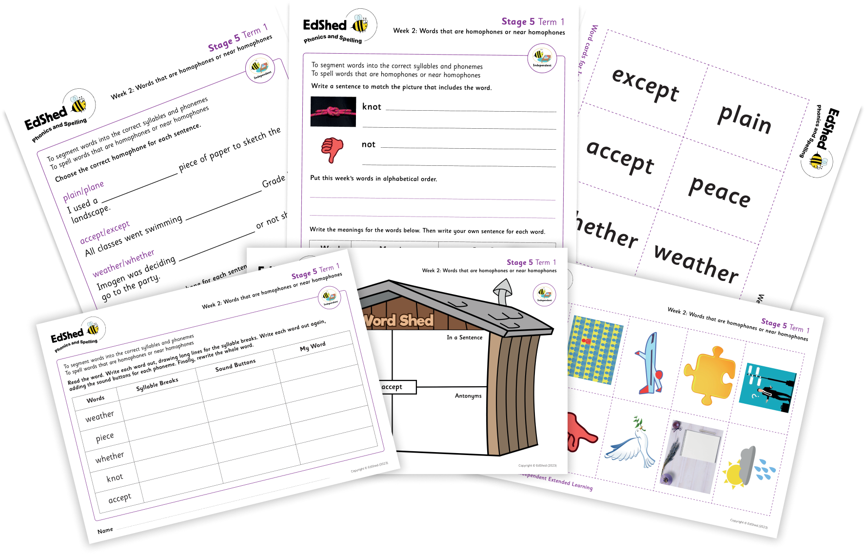 Flaylay of intermediate phase worksheets